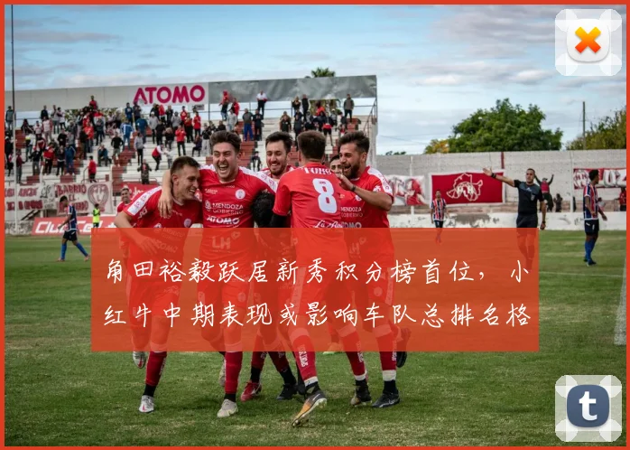 角田裕毅跃居新秀积分榜首位，小红牛中期表现或影响车队总排名格局
