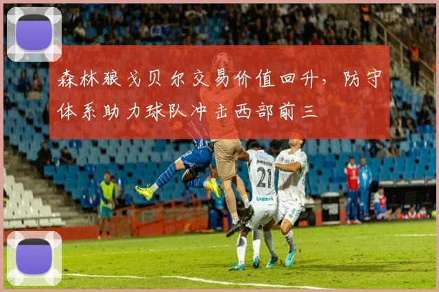 森林狼戈贝尔交易价值回升，防守体系助力球队冲击西部前三